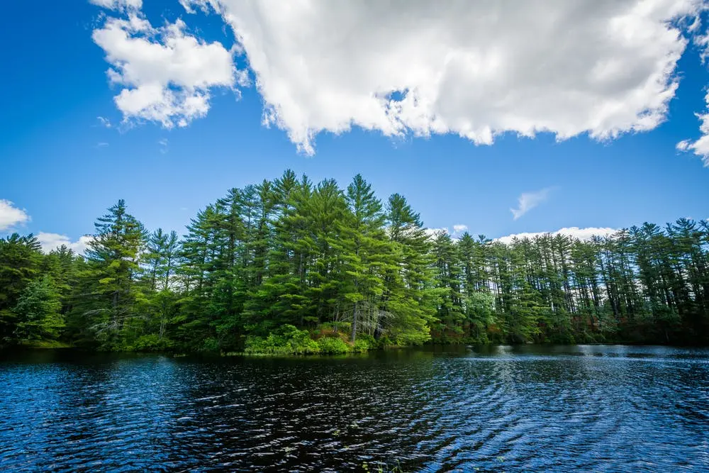 Forest Lake State Park