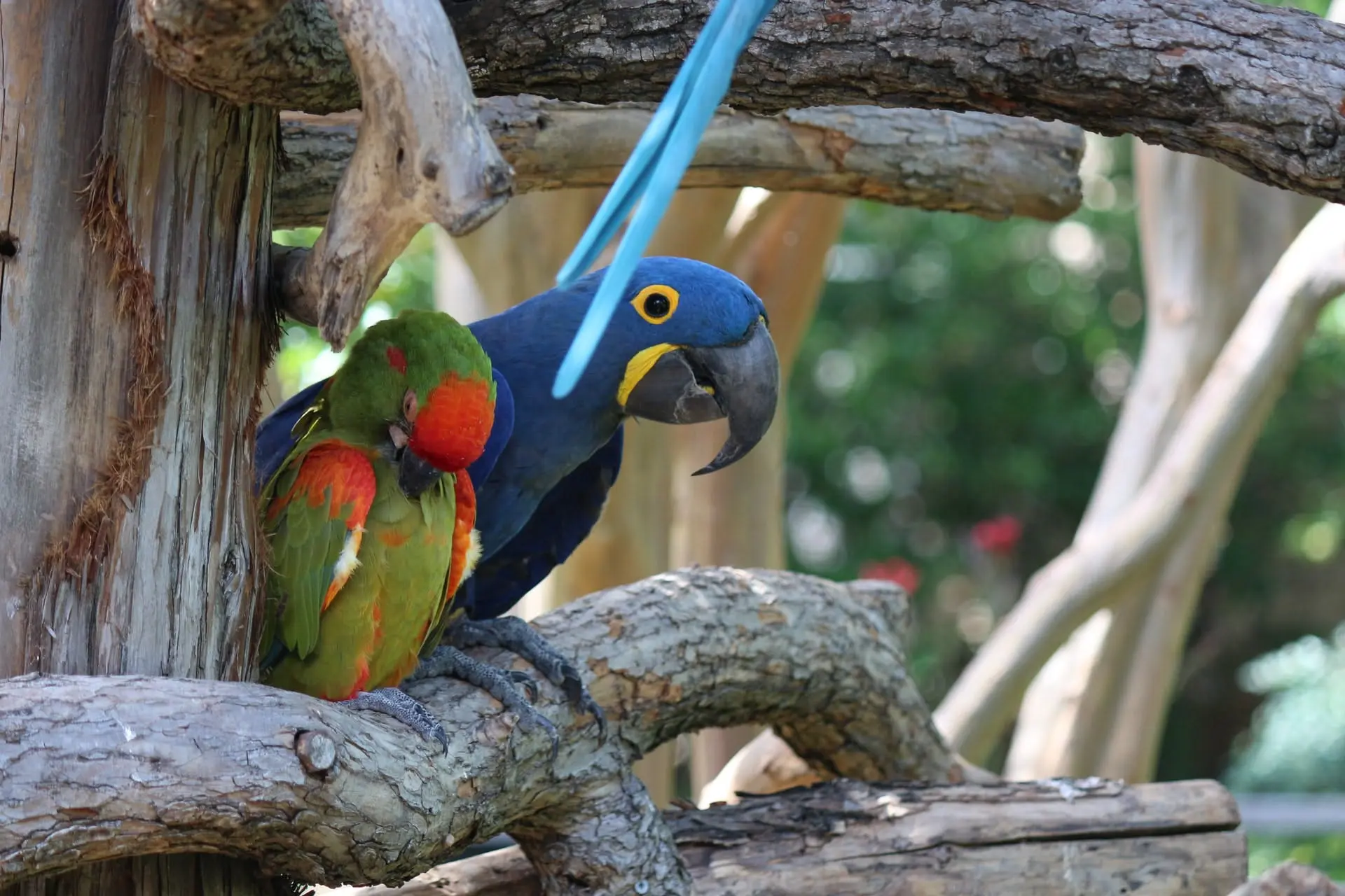 Dallas to San Diego Road Trip Section Image