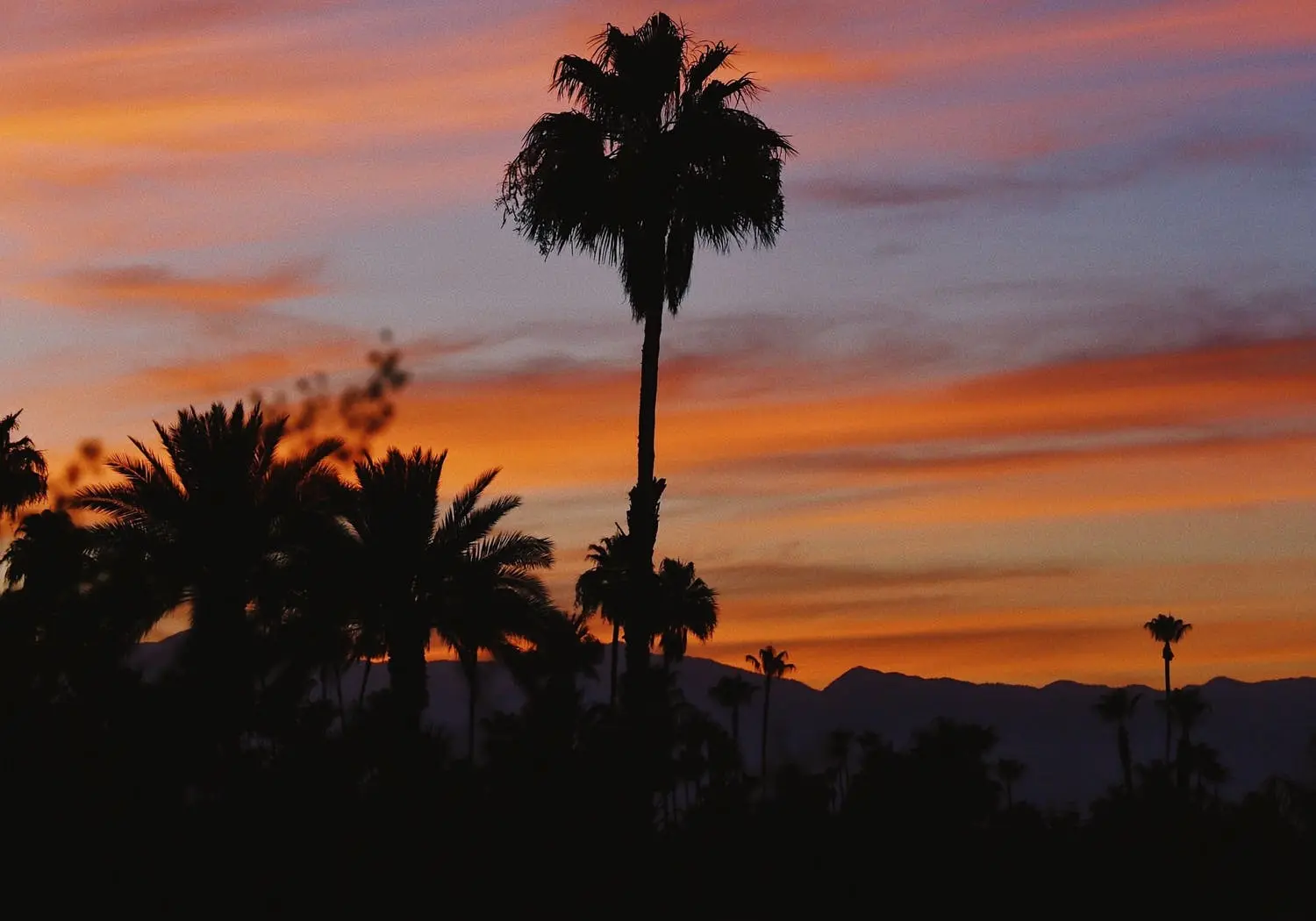 Phoenix to Palm Springs Road Trip Section Image