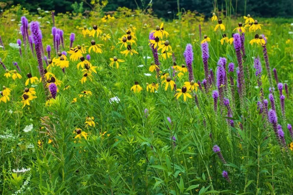 Shabbona Lake State Park