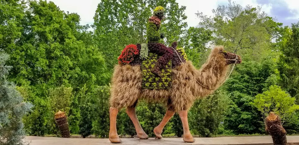 Indianapolis to Key West Road Trip Section Image