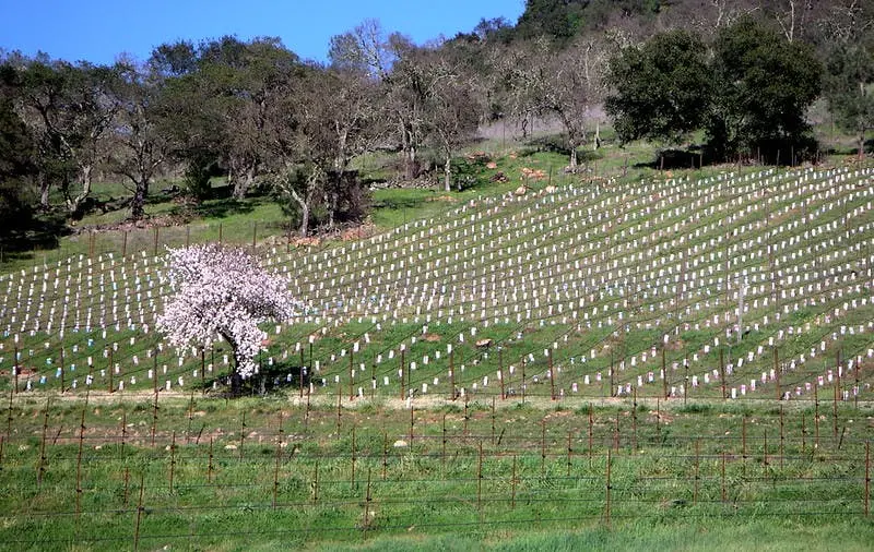 Seattle to San Francisco Road Trip Section Image