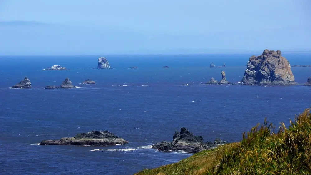 Lincoln City to Brookings Road Trip Section Image