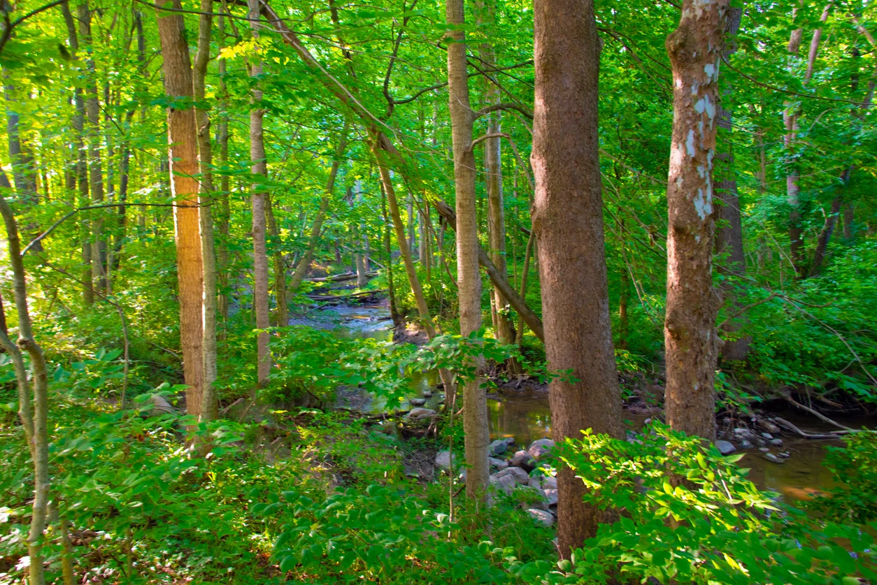 Potato Creek State Park