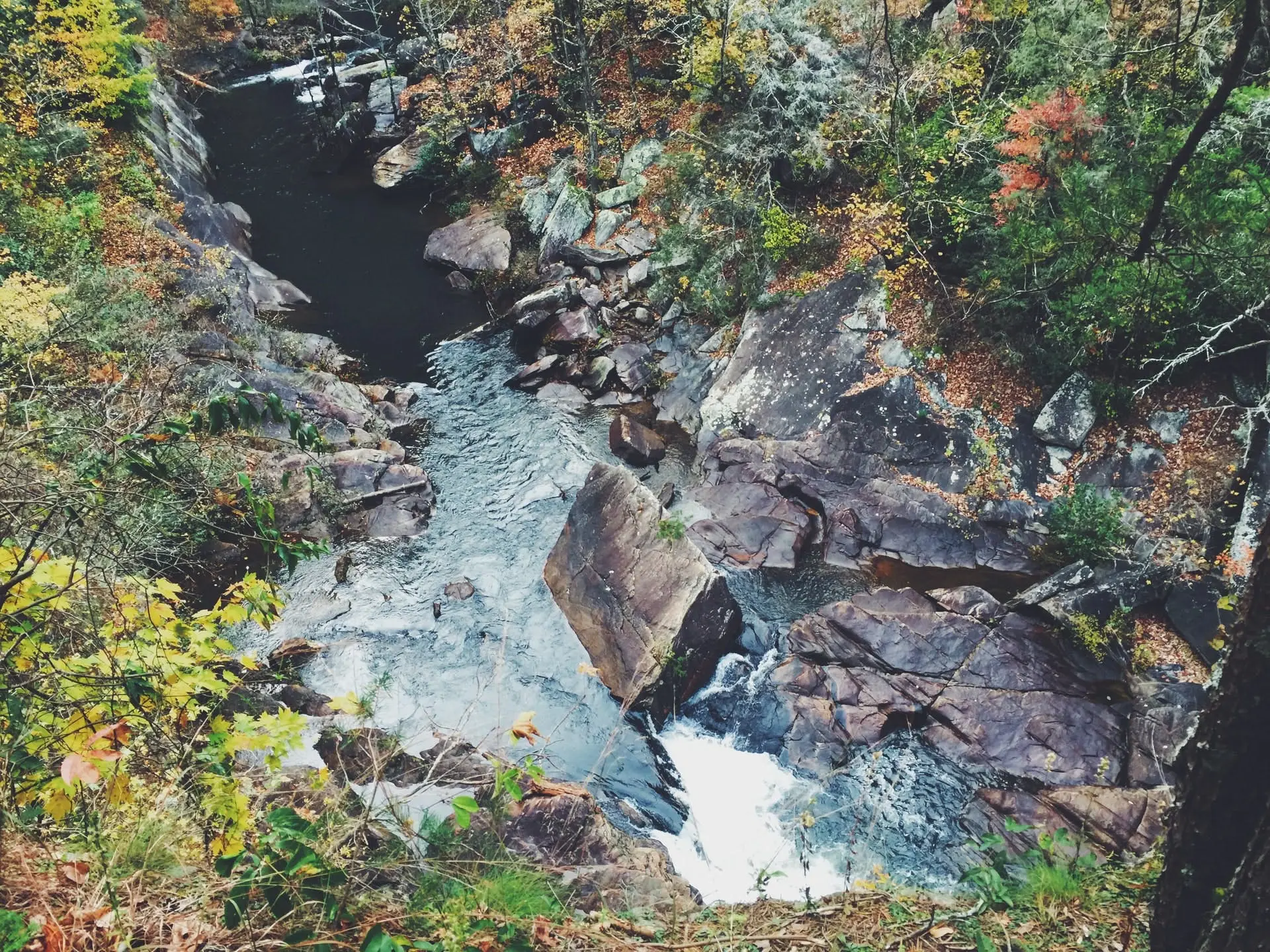 Atlanta to Gatlinburg Road Trip Section Image