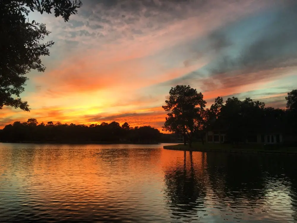 Houston to Corpus Christi Road Trip Section Image