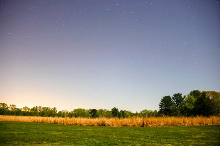 Memphis to Dallas Road Trip Section Image