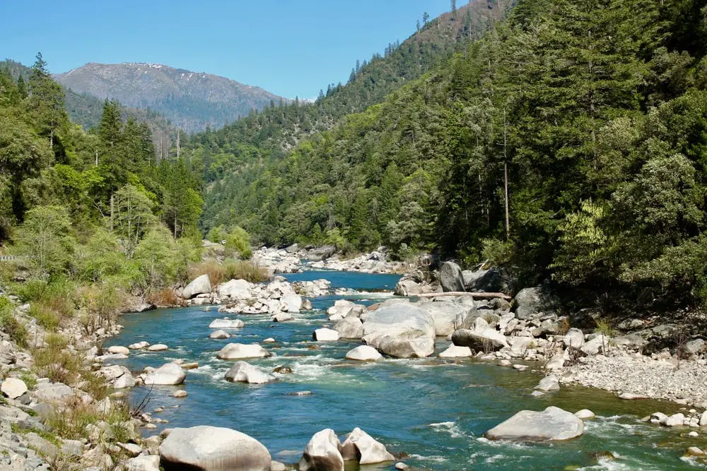 Plumas National Forest