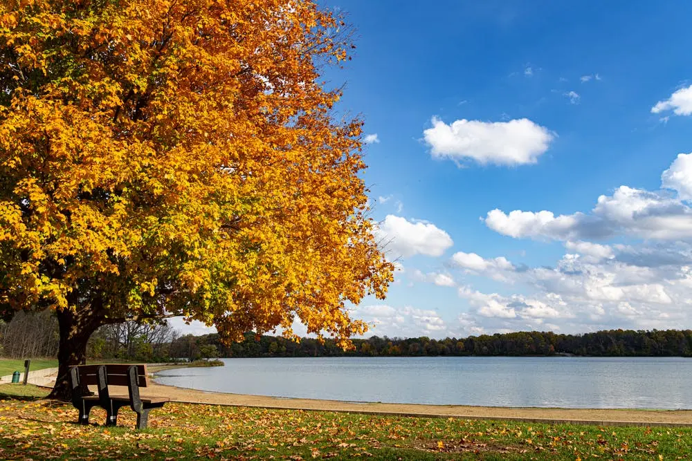 Detroit to Madison Road Trip Section Image