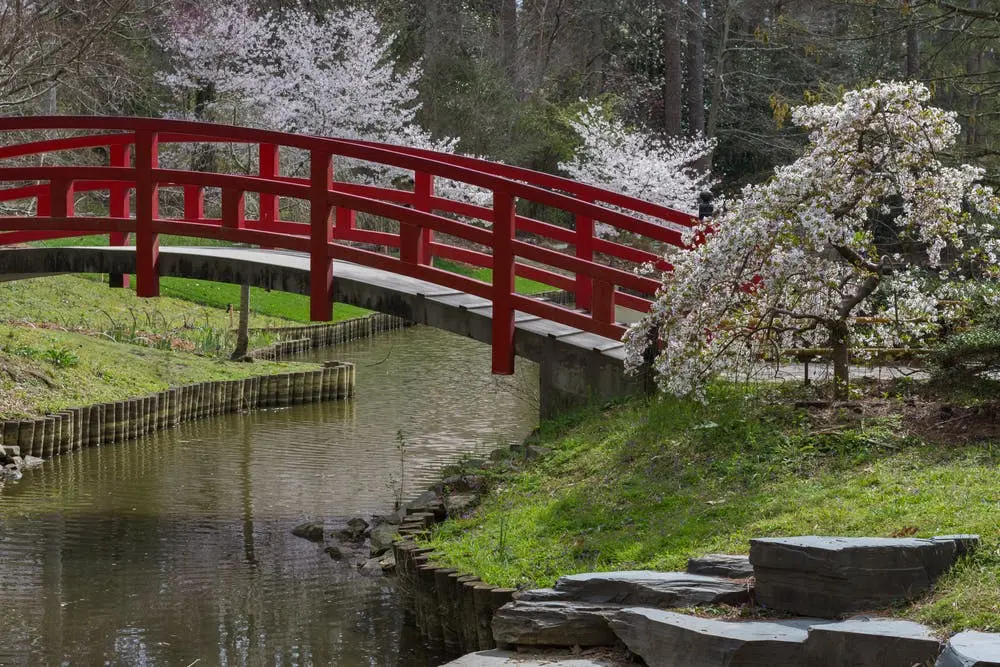 Boston to Atlanta Road Trip Section Image