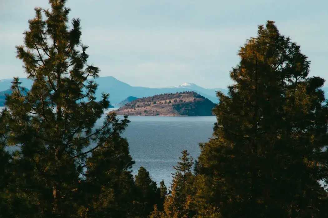 Portland to Reno Road Trip Section Image