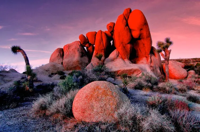 San Diego to Phoenix Road Trip Section Image