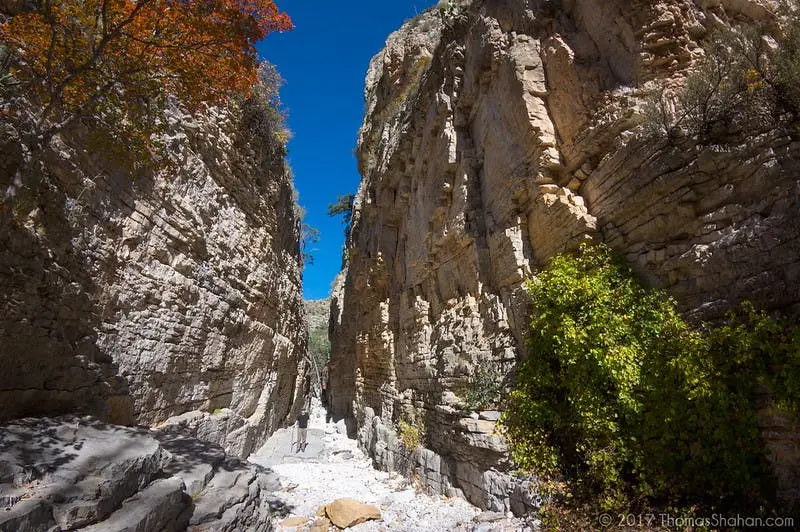San Antonio to Austin Road Trip Section Image