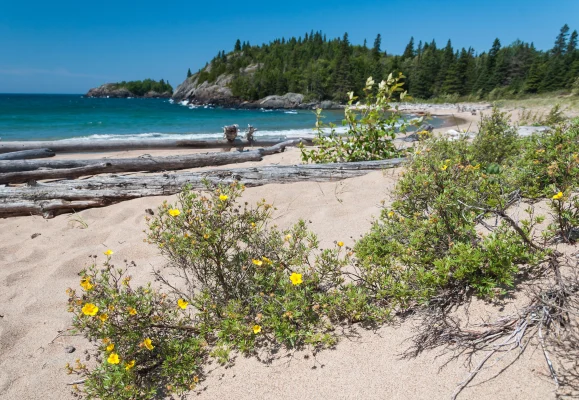 How to get to Pukaskwa National Park 