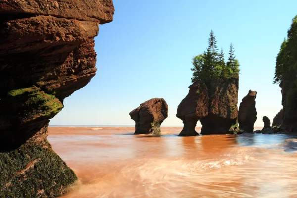 Things to do Outside Fundy National Park of Canada