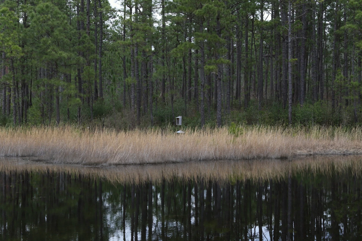 Little Pee Dee State Park