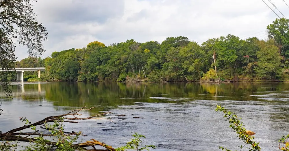 Chester State Park