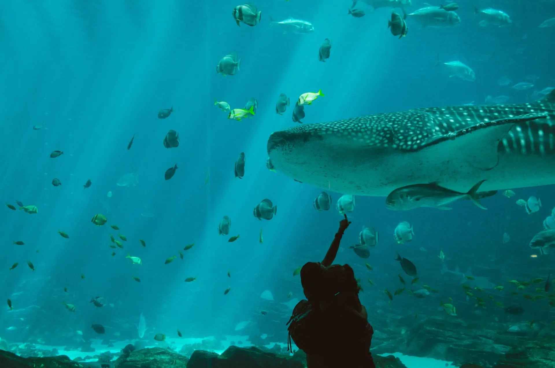 Atlanta to Charleston Road Trip Section Image