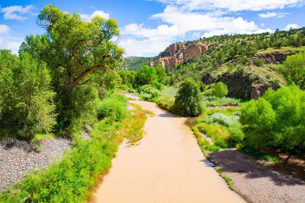 Gila National Forest