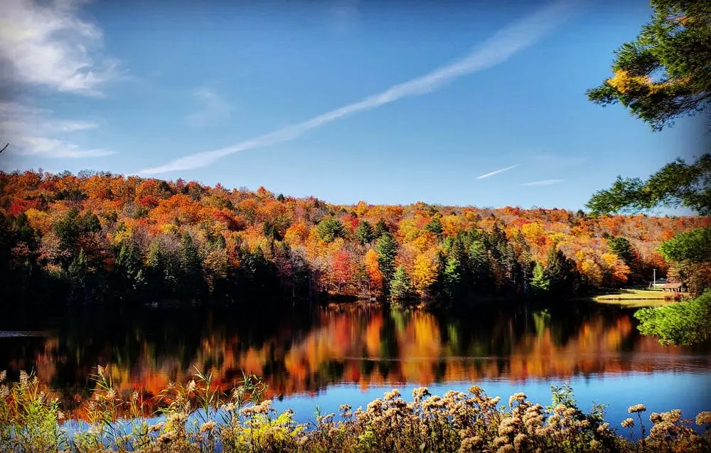 Wilmington to Newport Road Trip Section Image