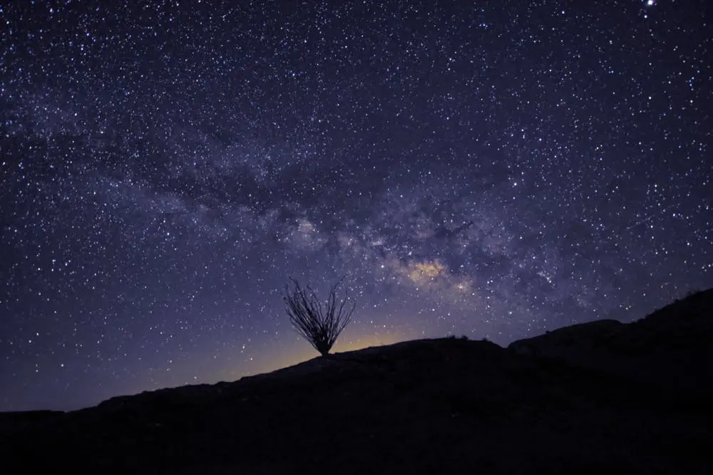 Joshua Tree to Flagstaff Road Trip Section Image
