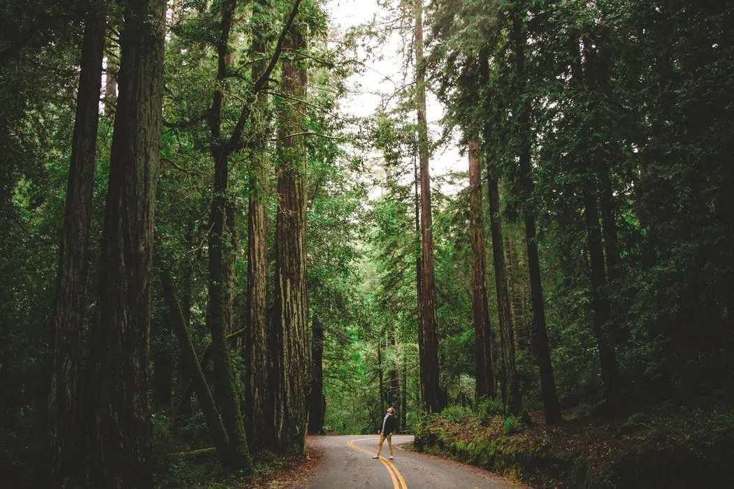 Phoenix to San Francisco Road Trip Section Image