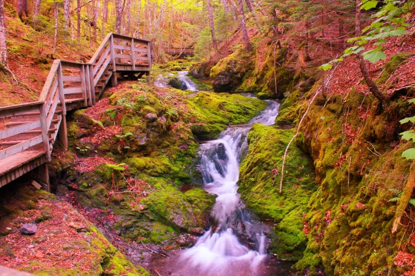 Fundy National Park of Canada Hiking Trails