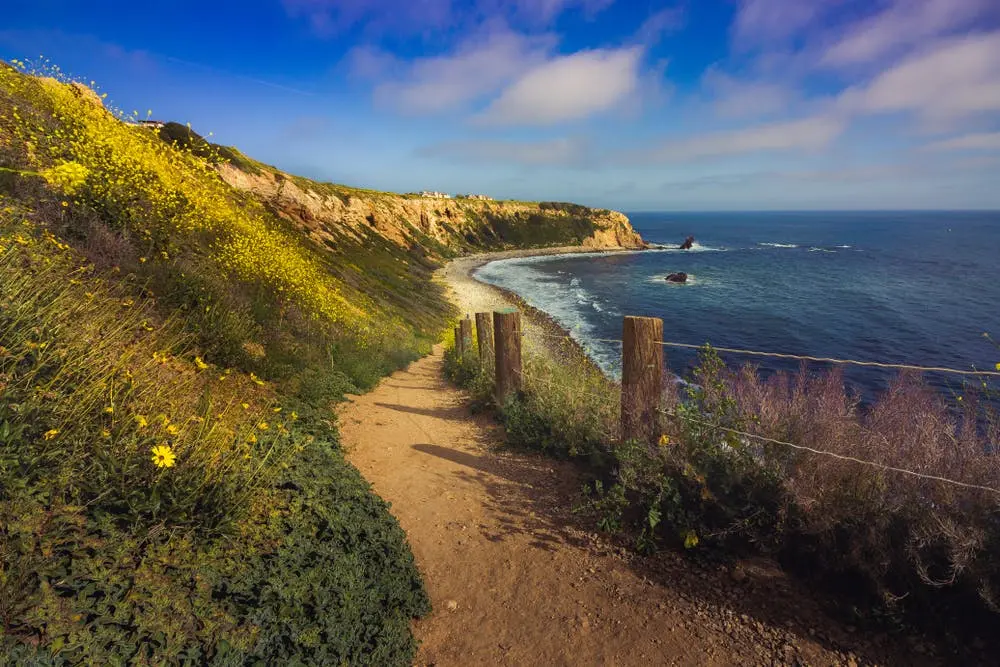 Tucson to Long Beach Road Trip Section Image