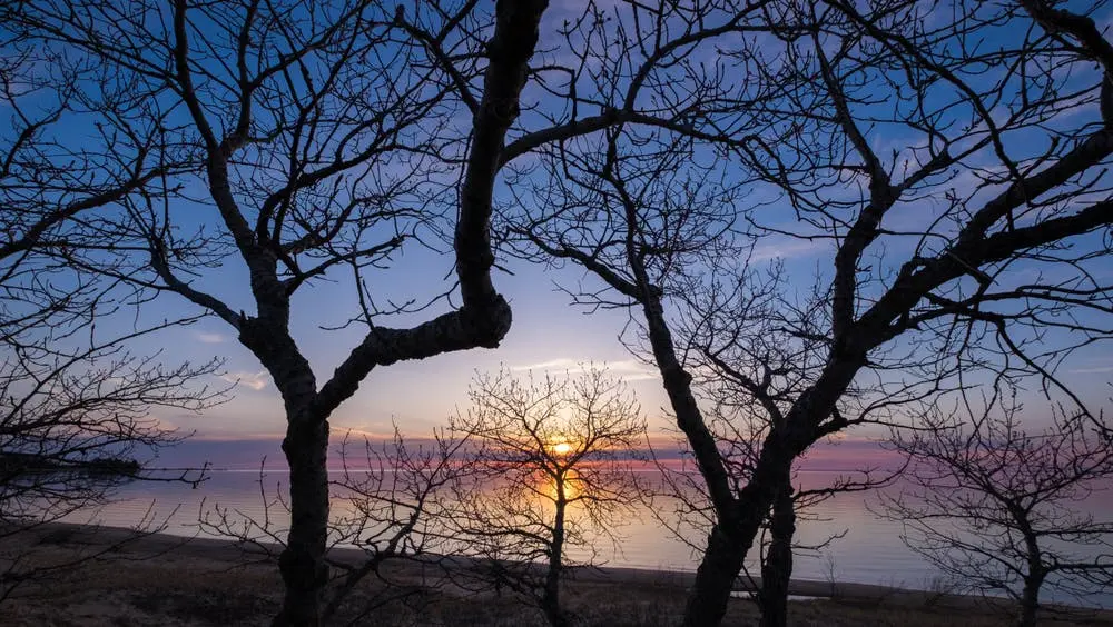 Grand Rapids to Petoskey Road Trip Section Image