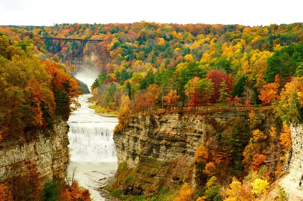 New York to Buffalo Road Trip Section Image
