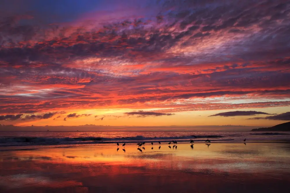 El Capitan State Beach