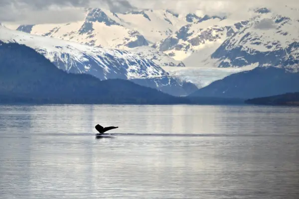 Things to do Outside Glacier Bay National Park