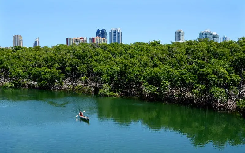 Fort Lauderdale to Miami Road Trip Section Image