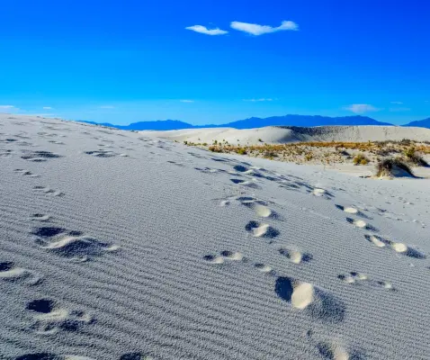 RV Resorts & Campsites in White Sands National Park