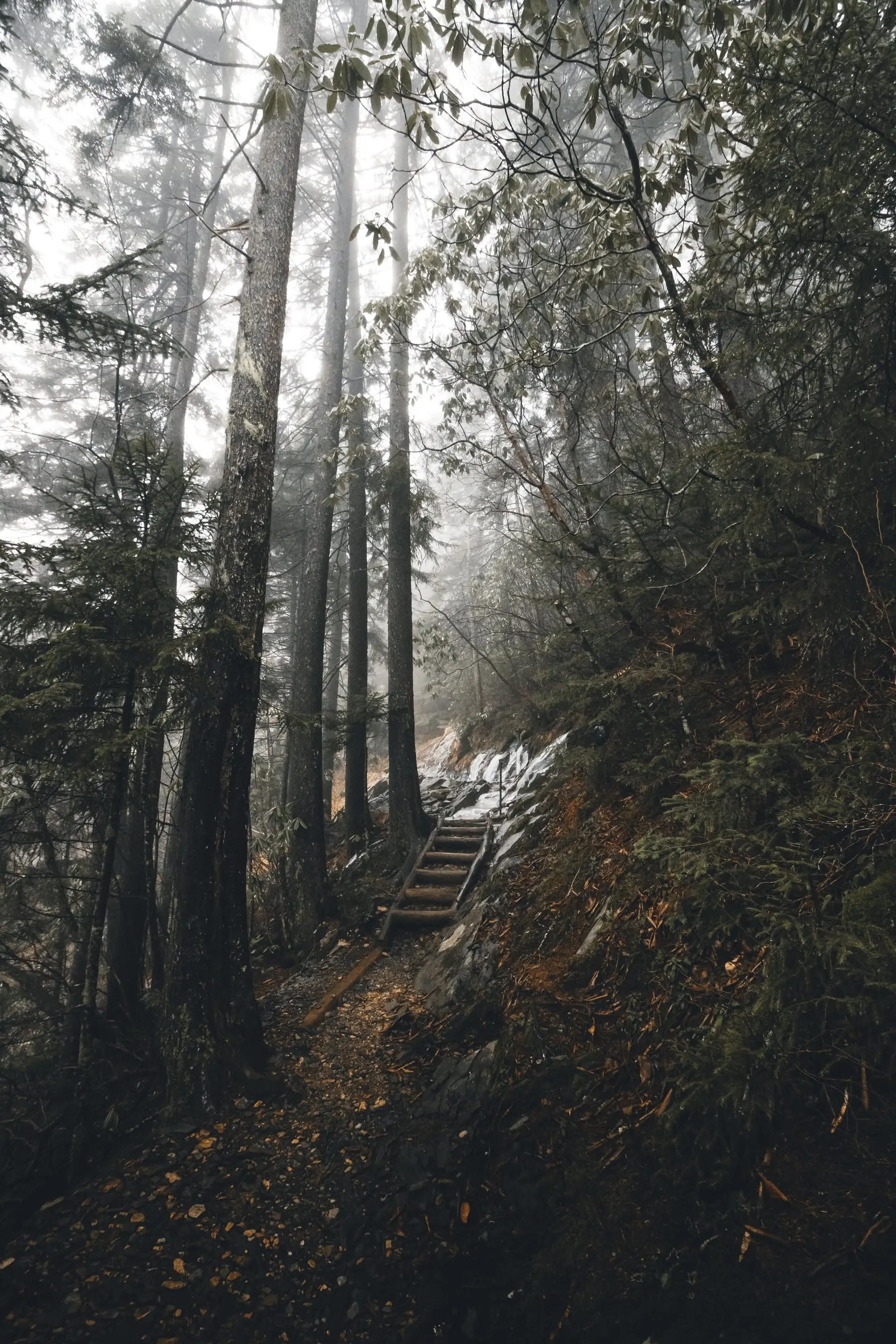 Denver to Atlanta Road Trip Section Image