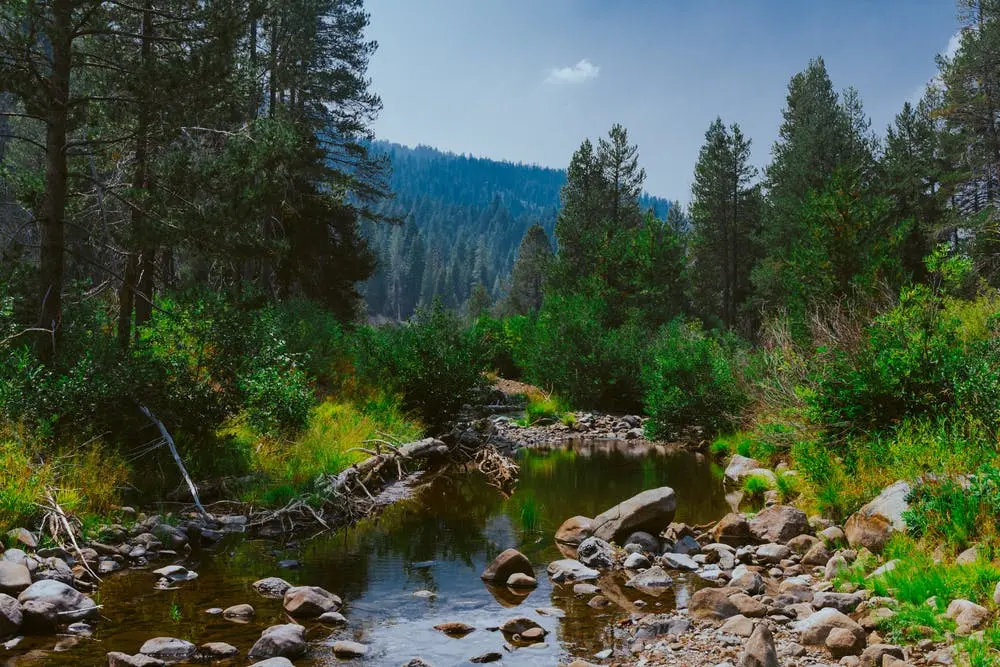 Sacramento to Denver Road Trip Section Image