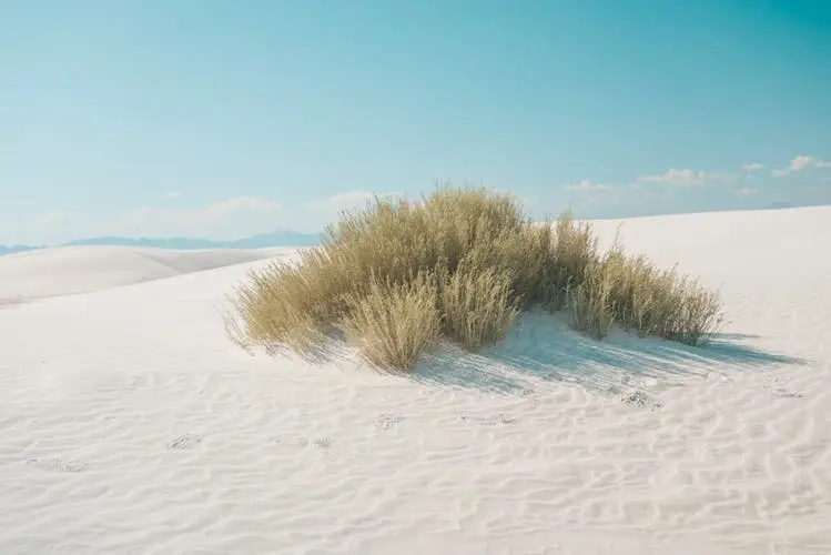 Phoenix to Albuquerque Road Trip Section Image