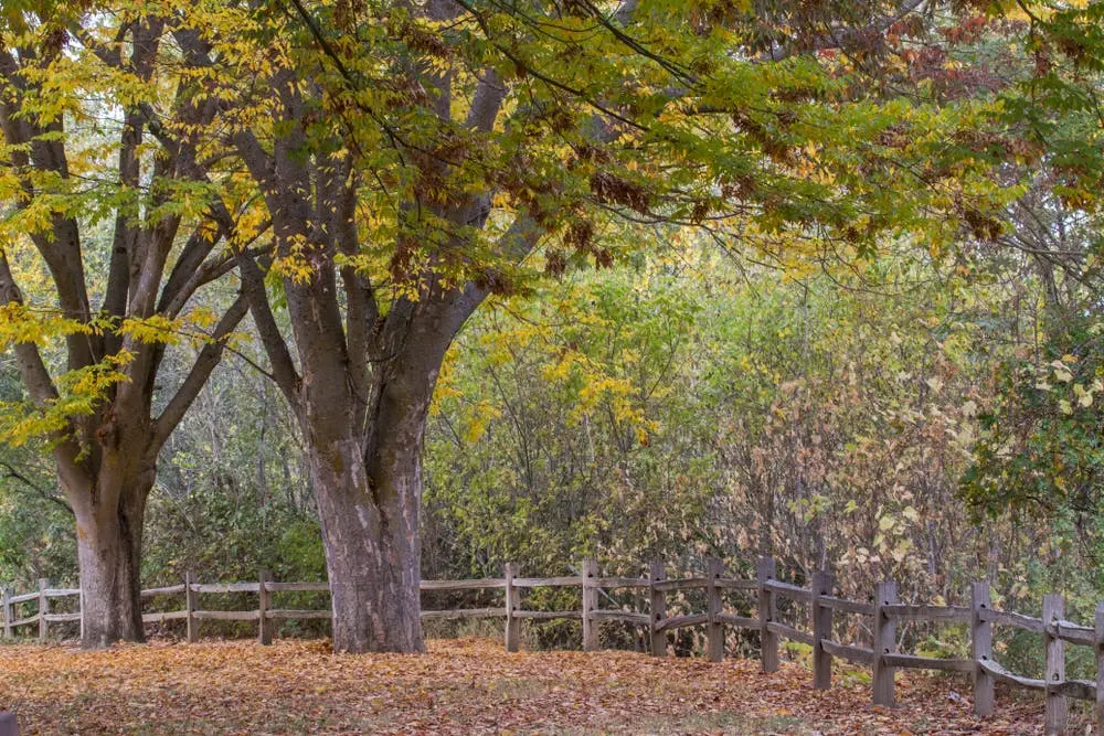 Seattle to Anaheim Road Trip Section Image