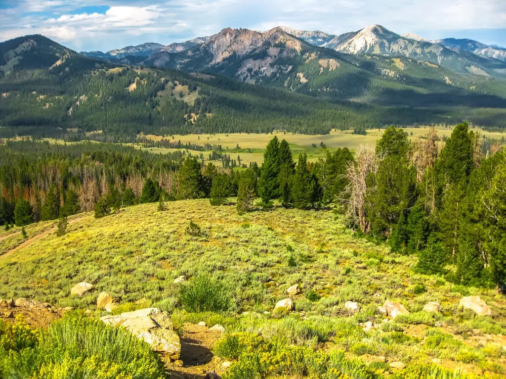 Sawtooth National Forest