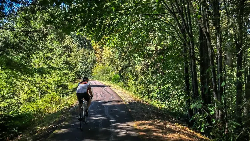 Joshua Tree to Seattle Road Trip Section Image