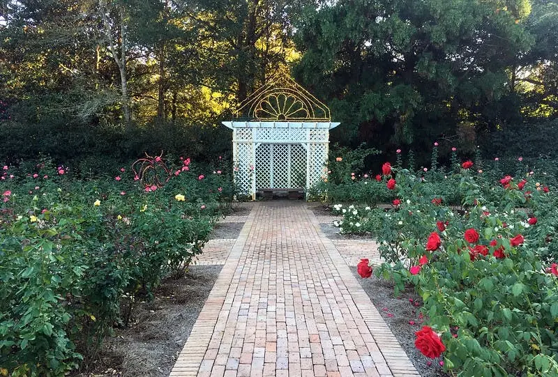 Tampa to New Orleans Road Trip Section Image