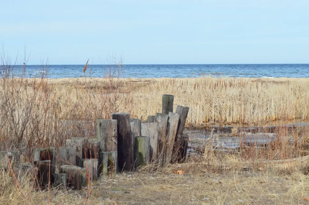 Bay City State Park