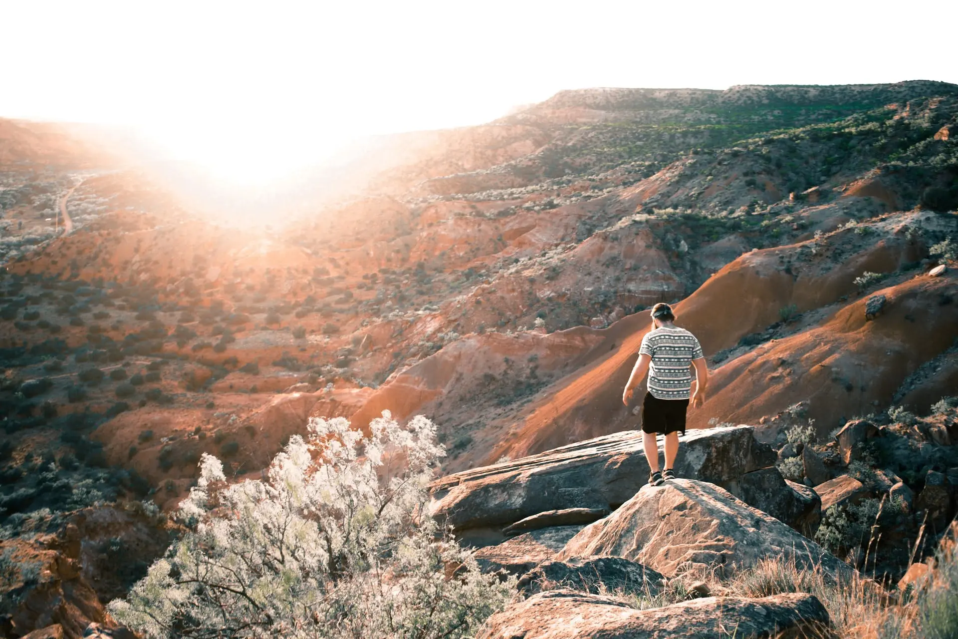 Amarillo to Taos Road Trip Section Image