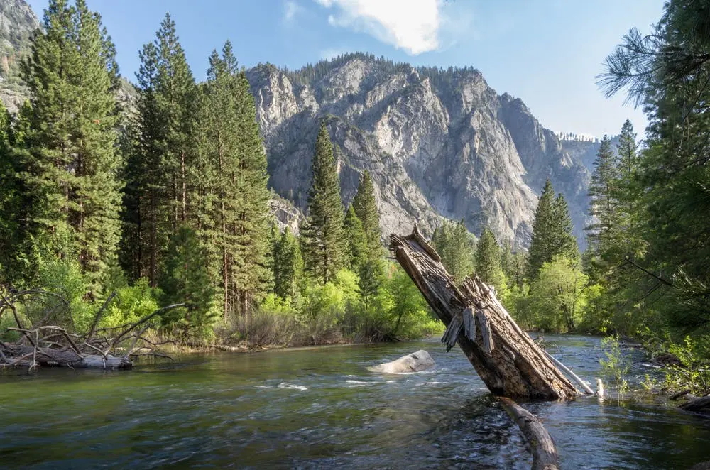 A view of Kings Canyon National Park