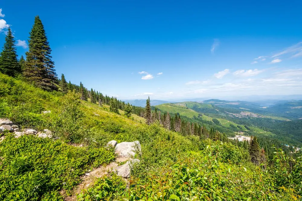 Minneapolis to Spokane Road Trip Section Image