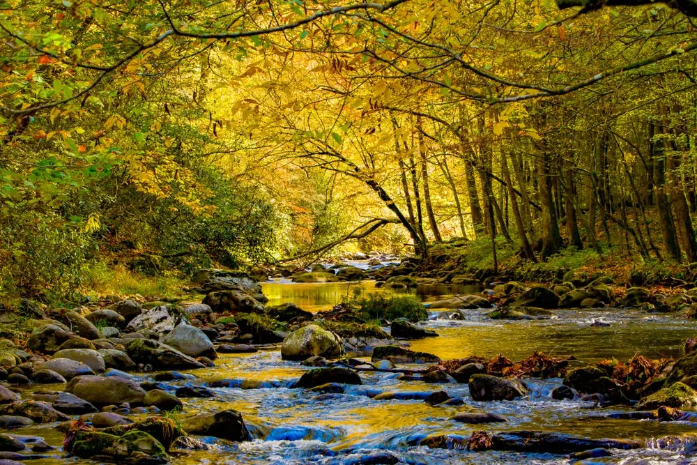 Columbia to St. Augustine Road Trip Section Image