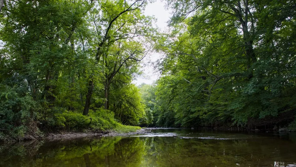 Atlanta to Boston Road Trip Section Image