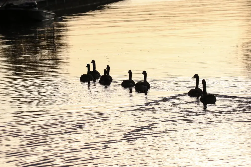 Indian Lake State Park