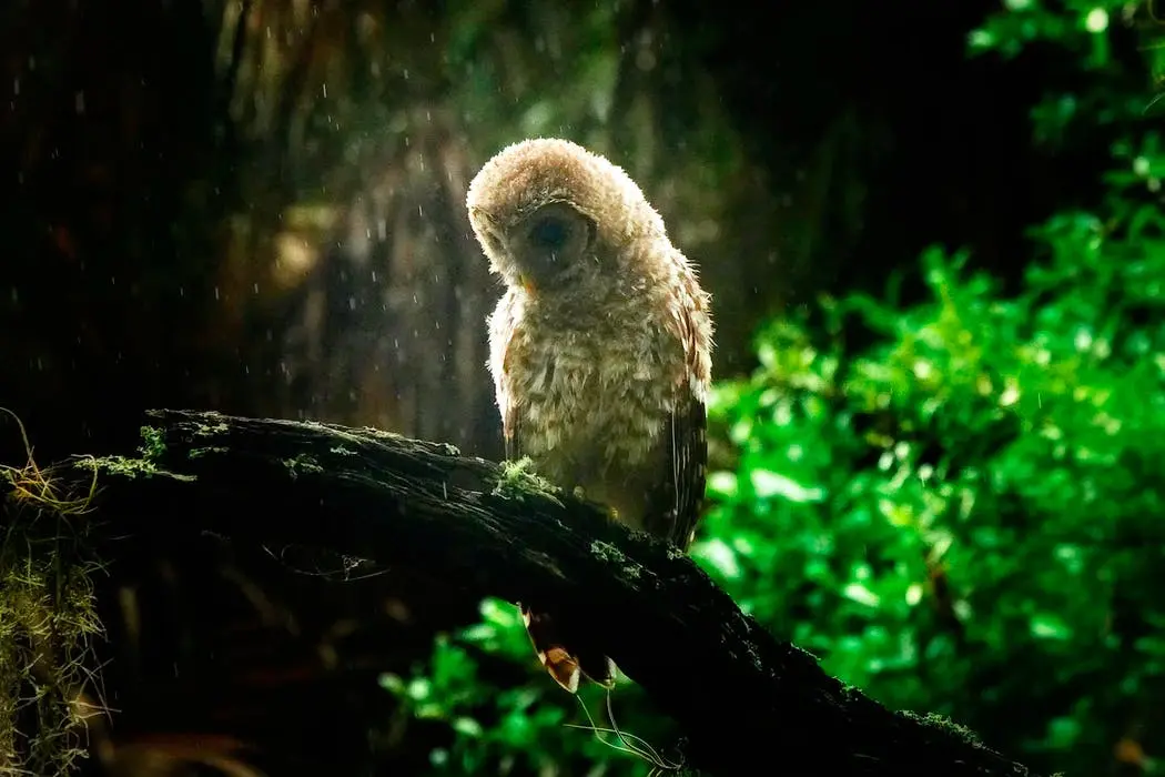 Tampa to Fort Myers Road Trip Section Image