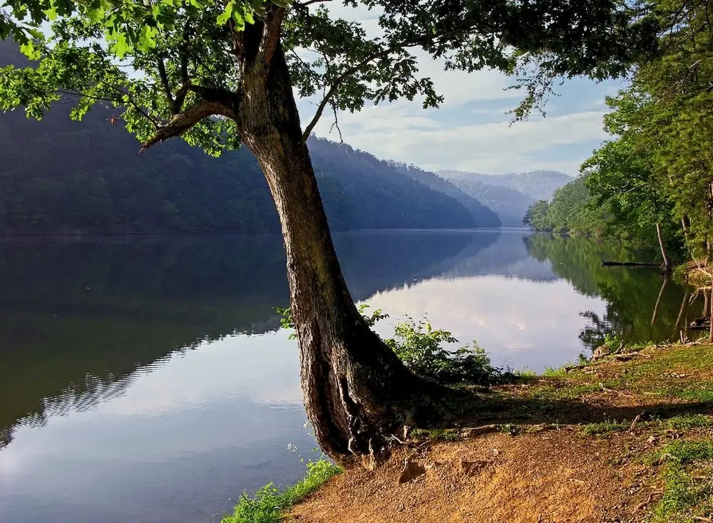 Dover to Chattanooga Road Trip Section Image